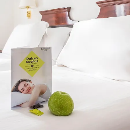 Sercotel Europa San Sebastian